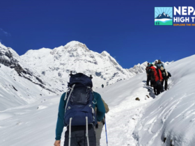 7 Days Annapurna Base Camp Trek vs. Annapurna Circuit Trek