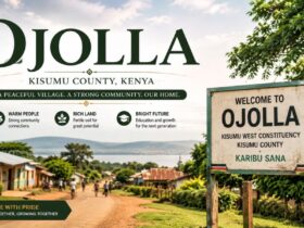 Ojolla