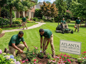 Atlanta Lawn Services